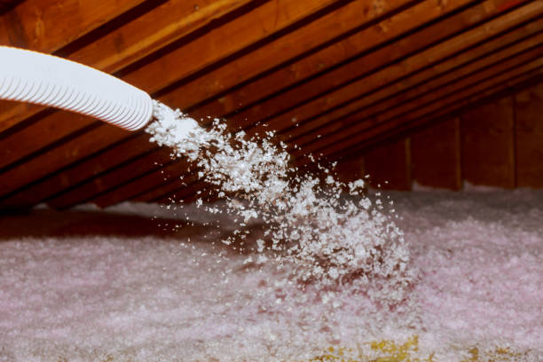 Best Insulation Replacement Services  in Calhoun Falls, SC