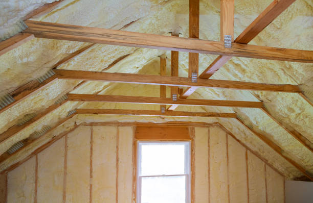 Best Insulation Removal  in Calhoun Falls, SC