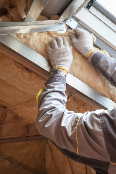Best Local Insulation Services  in Calhoun Falls, SC