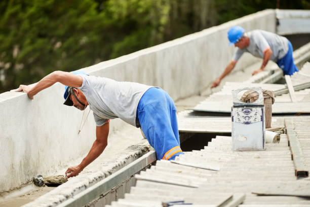 Best Professional Insulation Contractor  in Calhoun Falls, SC