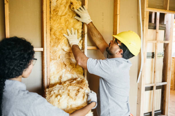 Best Spray Foam Insulation  in Calhoun Falls, SC
