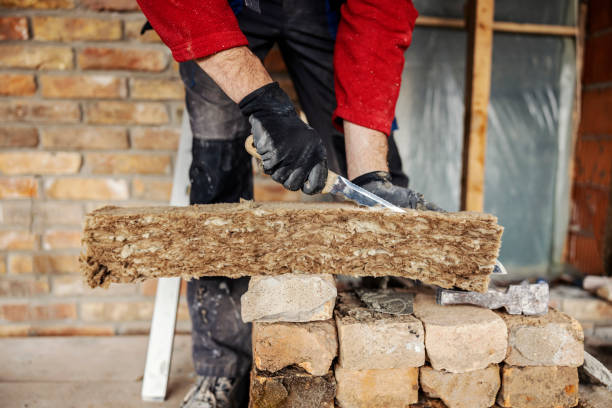Best Professional Insulation Contractor  in Calhoun Falls, SC