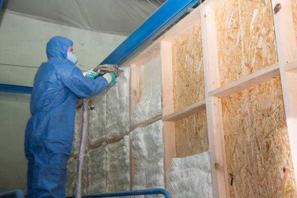 Best Commercial Insulation Contractor  in Calhoun Falls, SC