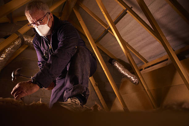 Best Insulation Contractor Near Me  in Calhoun Falls, SC