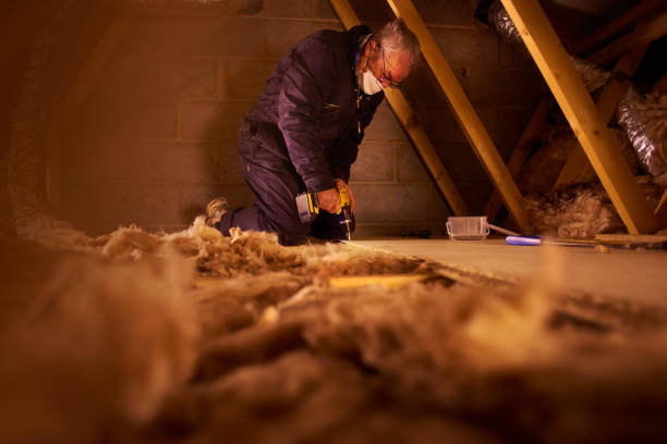 Best Insulation for New Construction  in Calhoun Falls, SC